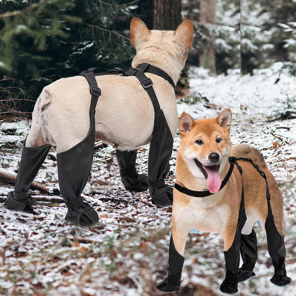 Chaussures Anti-Dérapantes pour Chiens – Bottines de Protection pour Pattes