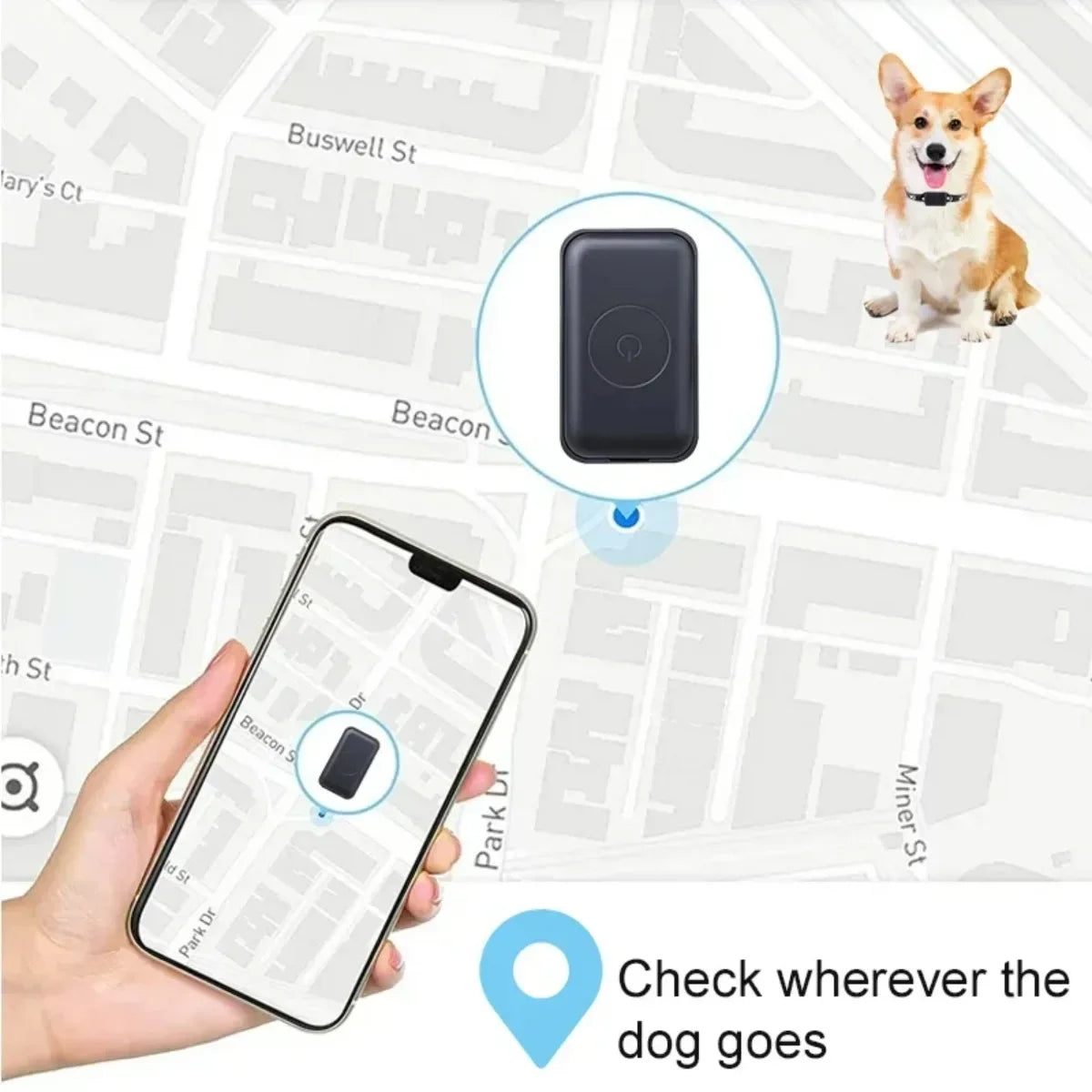 Traceur GPS pour Chats & Chiens – Collier Localisable en Temps Réel