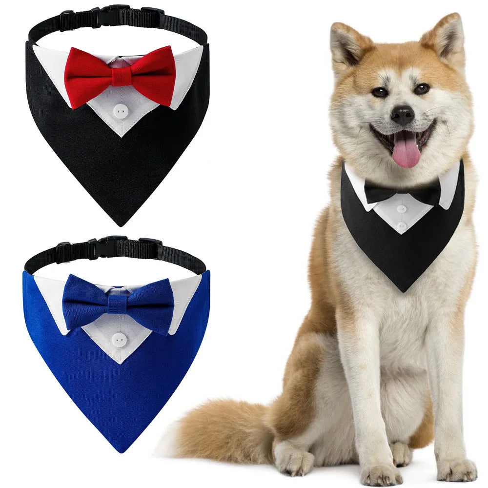 Collier Noeud Papillon pour Chiens – Bandana Triangle Réglable